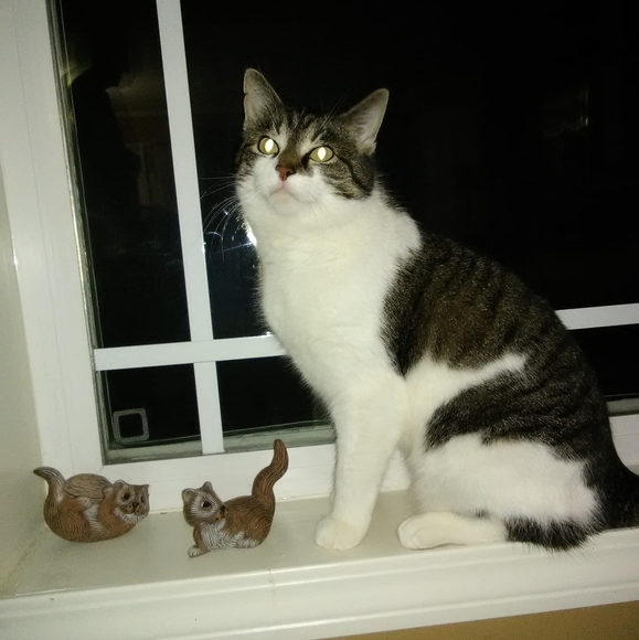 Meet your Posher, Velma - Picture 1 of 1